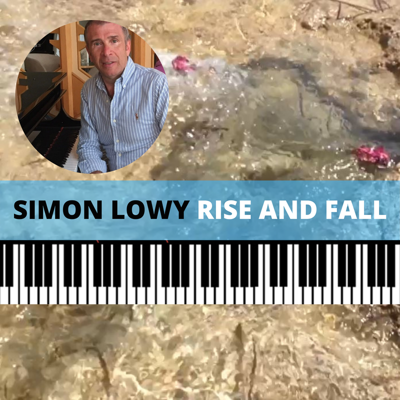 Rise and Fall - Simon Lowy 